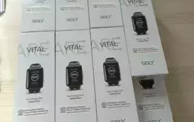 547758053_1317000613551050_8141710571919937906_n