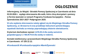plakat media społecznościowe FEPŻ