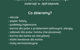 Świątecznie dla zwierząt (1)