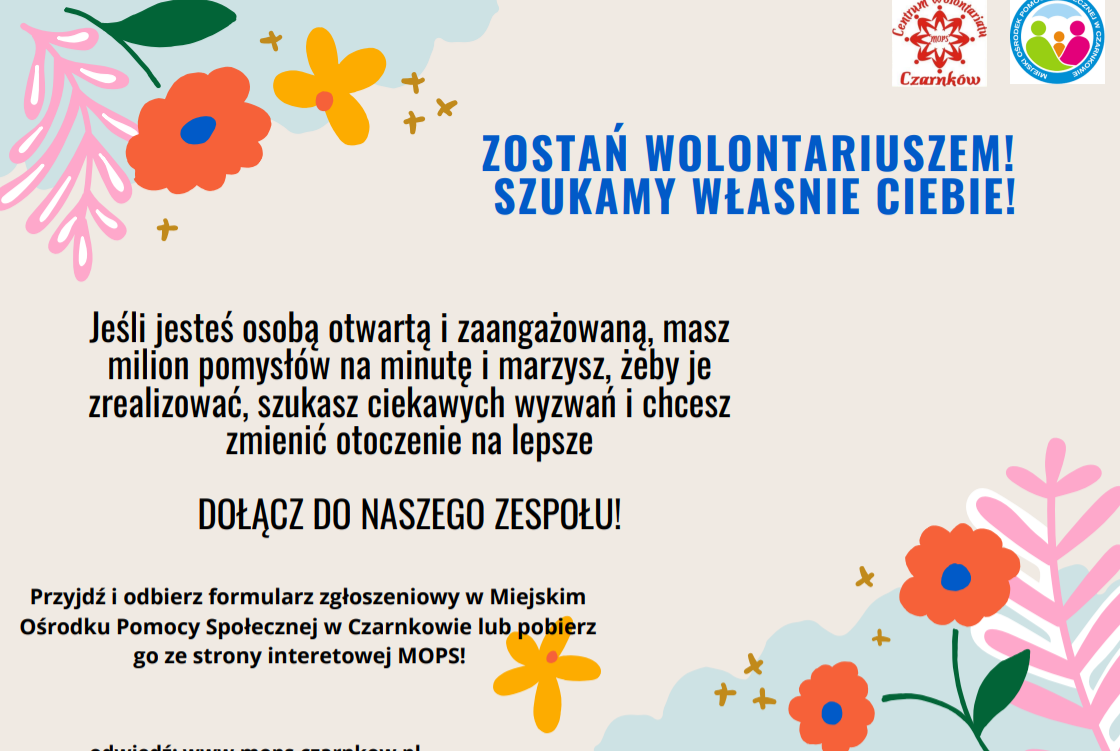 Zdjęcie do Wolontariat 